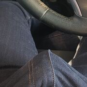Analexass