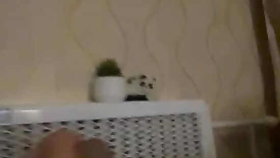 Хочу!!!