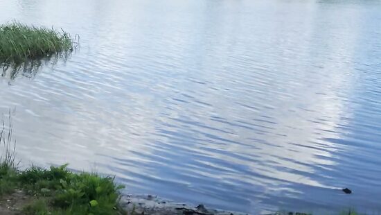 В городе