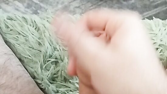 Шалю     